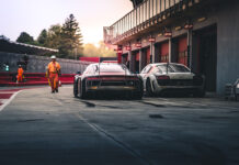 Thousands of Florida greyhounds will need homes after ban