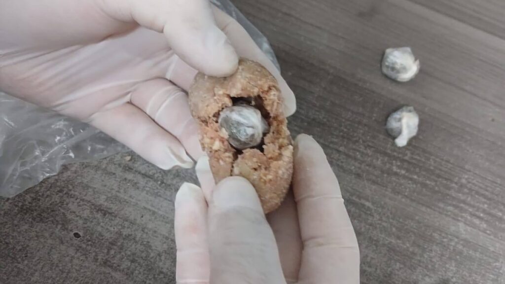 649537790 122155219982971310 8973915075551863846 n