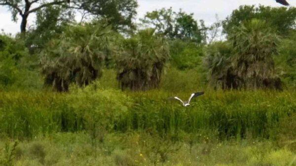 650834434 1379645414200272 168684971991845962 n