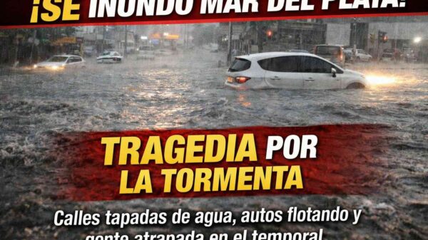 659040363 1568569405274616 1609950493482986699 n