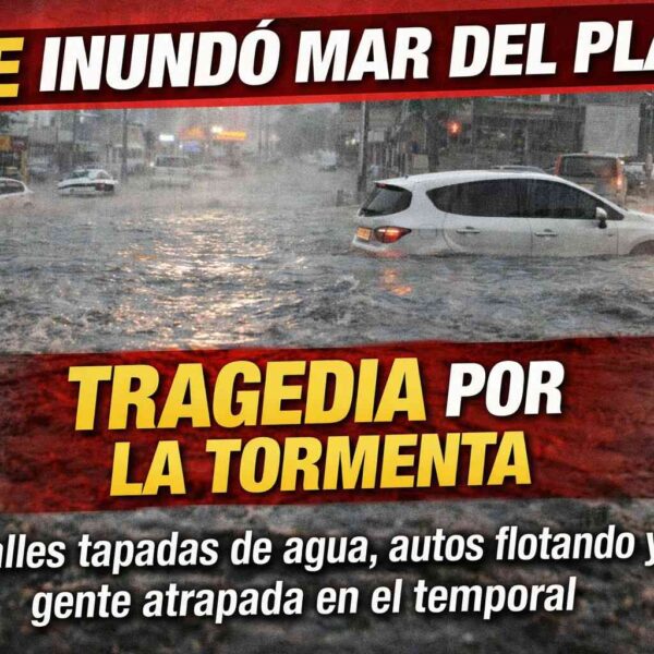 659040363 1568569405274616 1609950493482986699 n