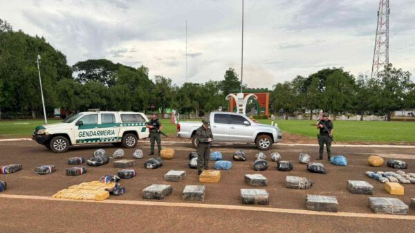 719 kilos marihuana misiones 2