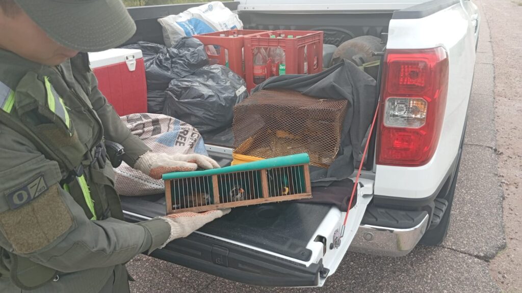 la rioja 14 aves silvestres 3