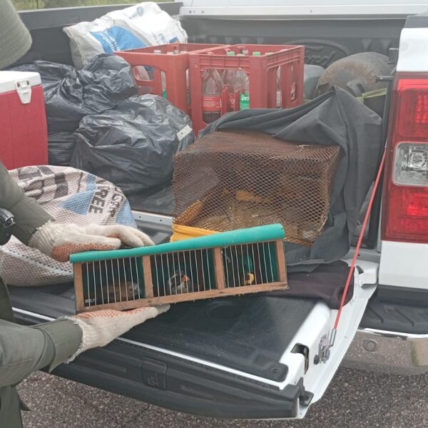 la rioja 14 aves silvestres 3