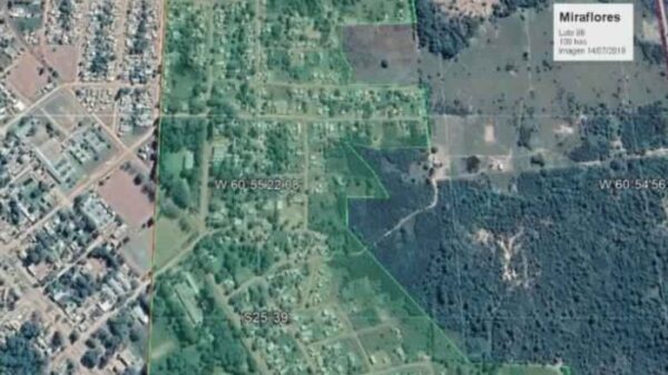 lote 88 edit 700x525