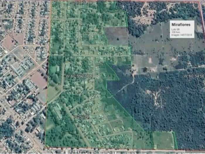 lote 88 edit 700x525