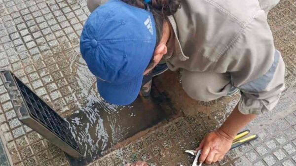 whatsapp image 2026 03 17 at 7 53 21 pm 69b9dbdbf1536514218134