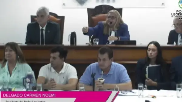 interpelacion dudik