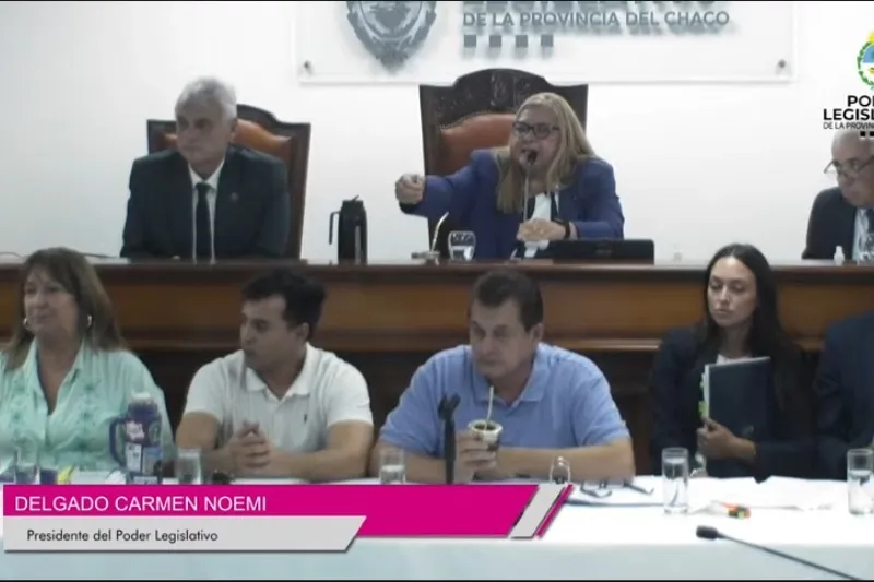 interpelacion dudik